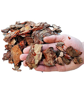 Әйелдер түрмесінің онлайн порно видеосы